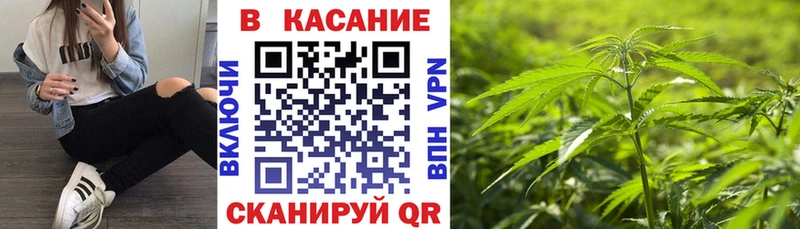 Продажа наркотиков Прохладный Бошки Шишки  A PVP  Псилоцибиновые грибы  Меф  Гашиш  АМФЕТАМИН 