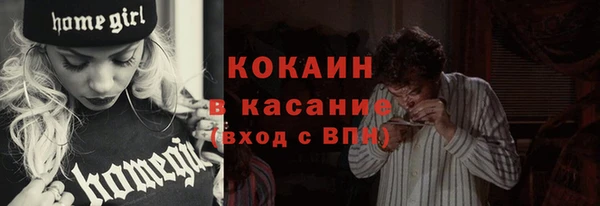 apvp Алексин