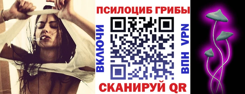 где найти наркотики  Прохладный  Галлюциногенные грибы GOLDEN TEACHER 