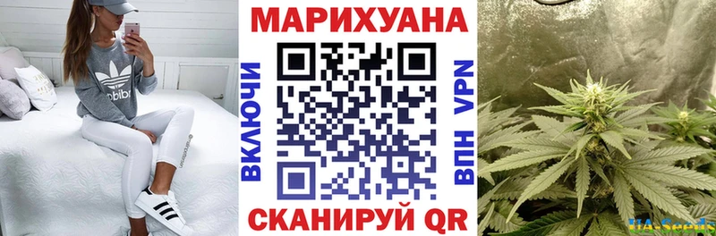 Конопля Ganja Прохладный